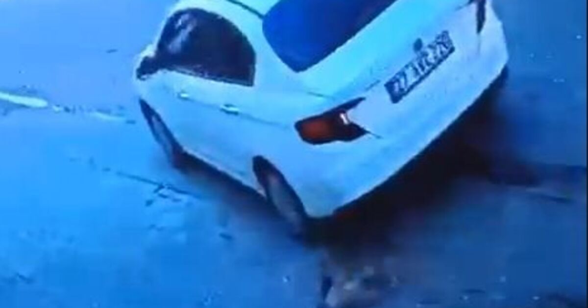 Köpeğe çarptı, üzerinden geçti!