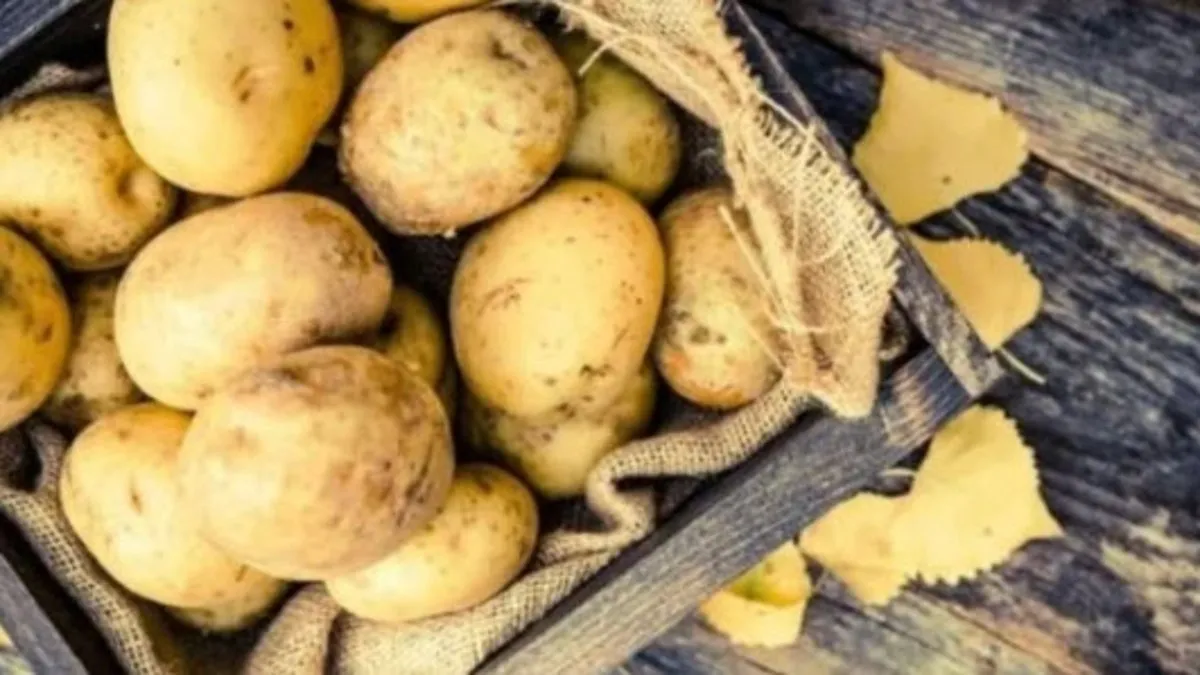 Çiğ Patates Yenir Mi? Patates Çiğ Tüketilir Mi, Zararı Olur Mu?