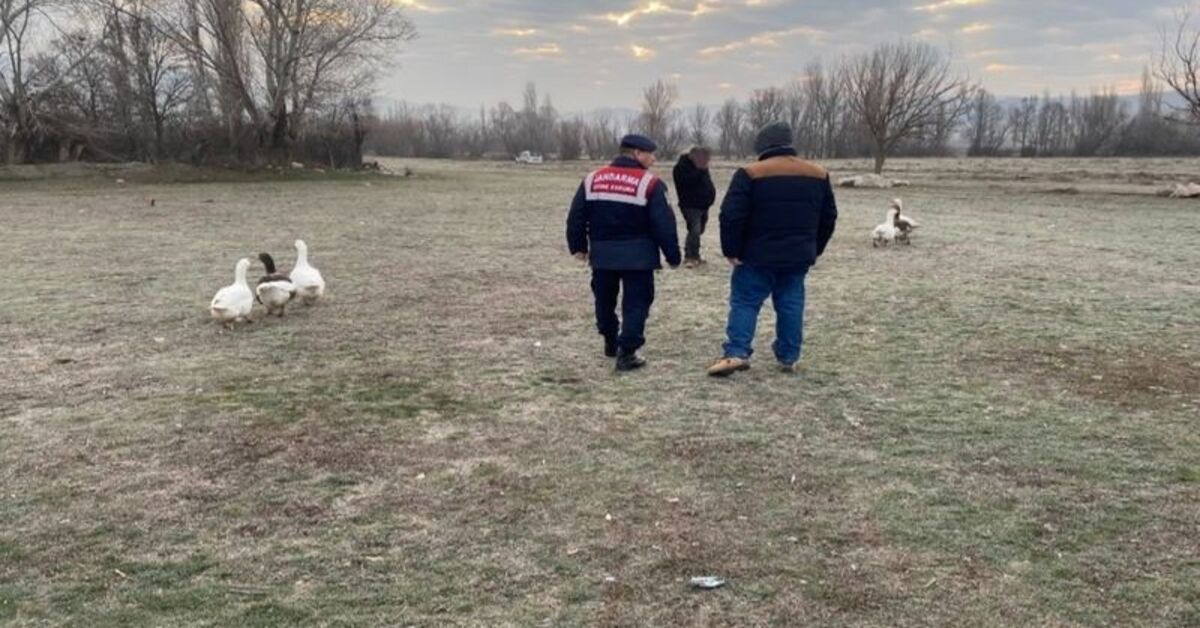 Çorum’da kaz dövüşü yaptıran 7 kişiye 73 bin TL ceza